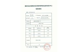 檢測報告